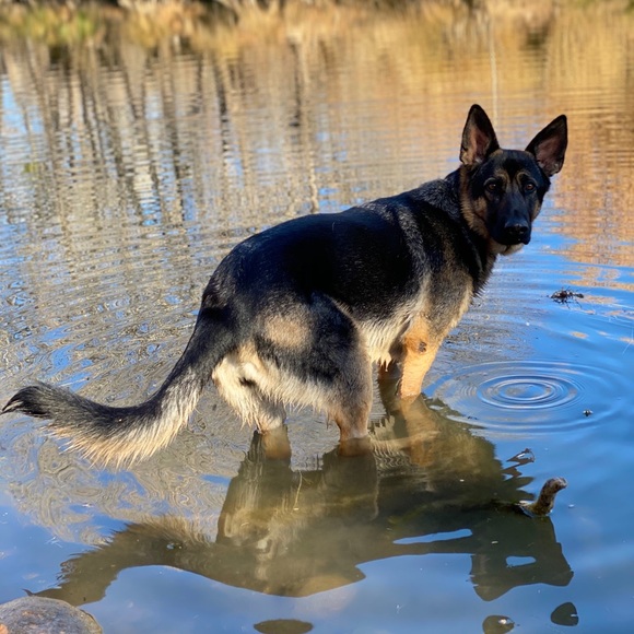 Meet your Posher, Nancy - Picture 7 of 8